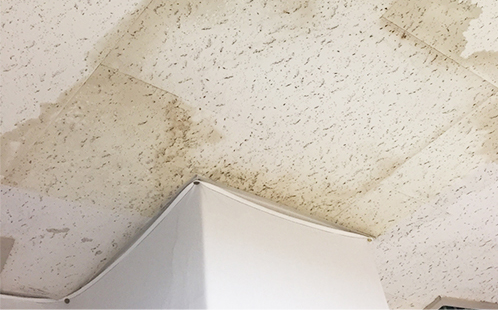 雨漏りでお急ぎの方