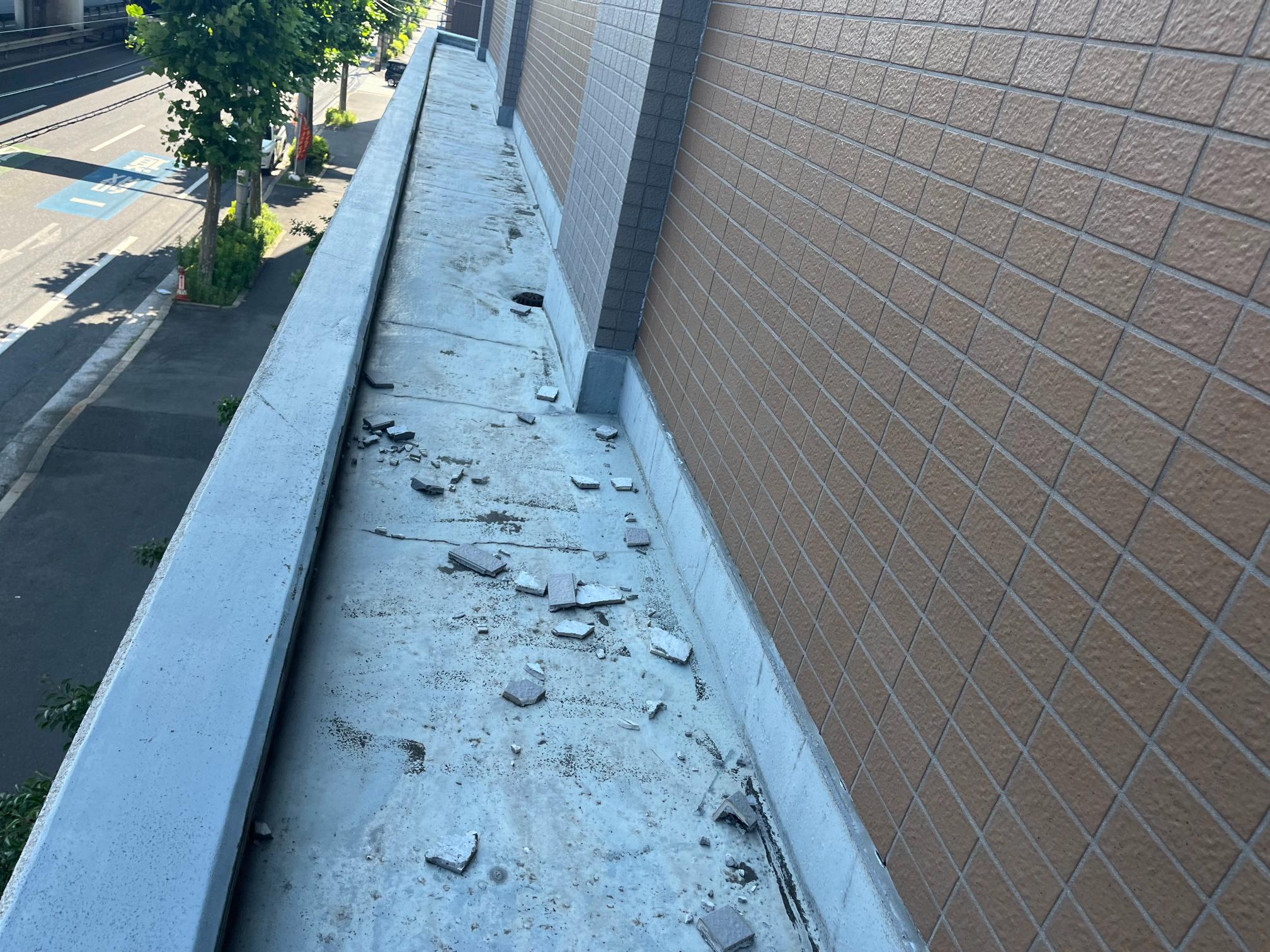 現地調査の写真