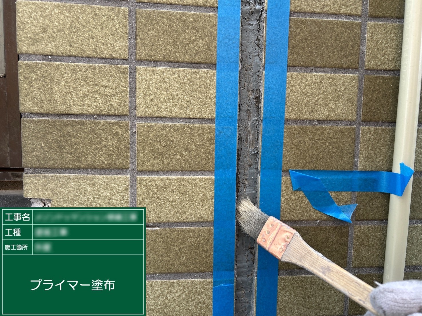 ④プライマー塗布