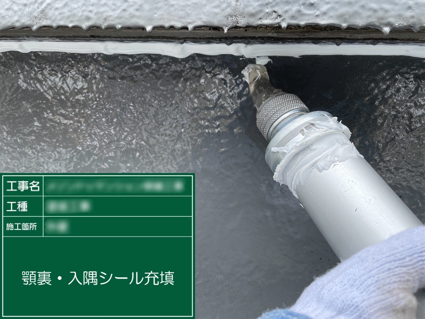 ⑦顎裏・入隅シール充填