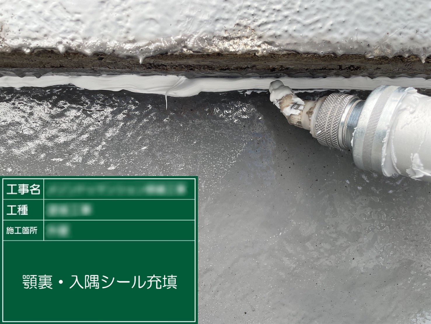 ⑦顎裏・入隅シール充填