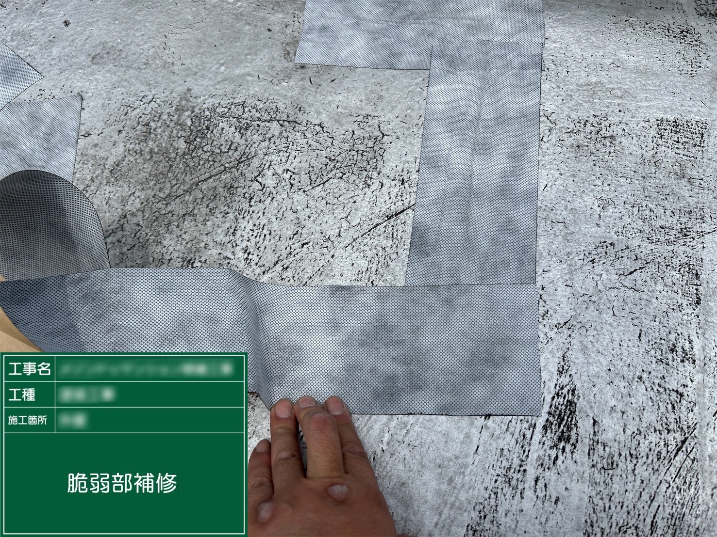 ⑤脆弱部補修