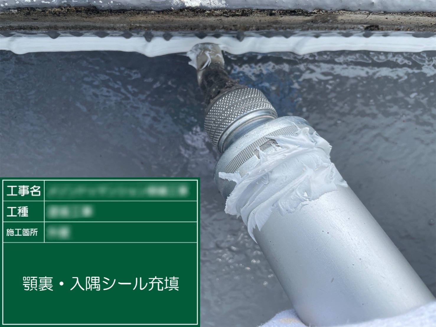 ⑦顎裏・入隅シール充填