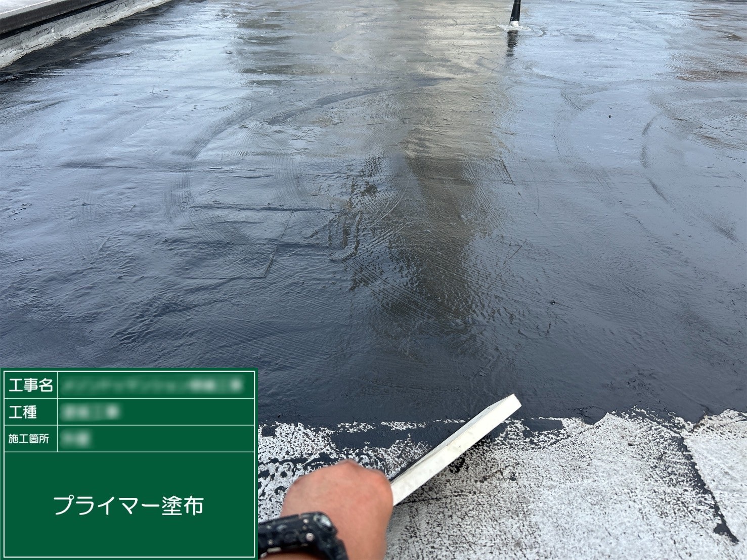 ⑥プライマー塗布