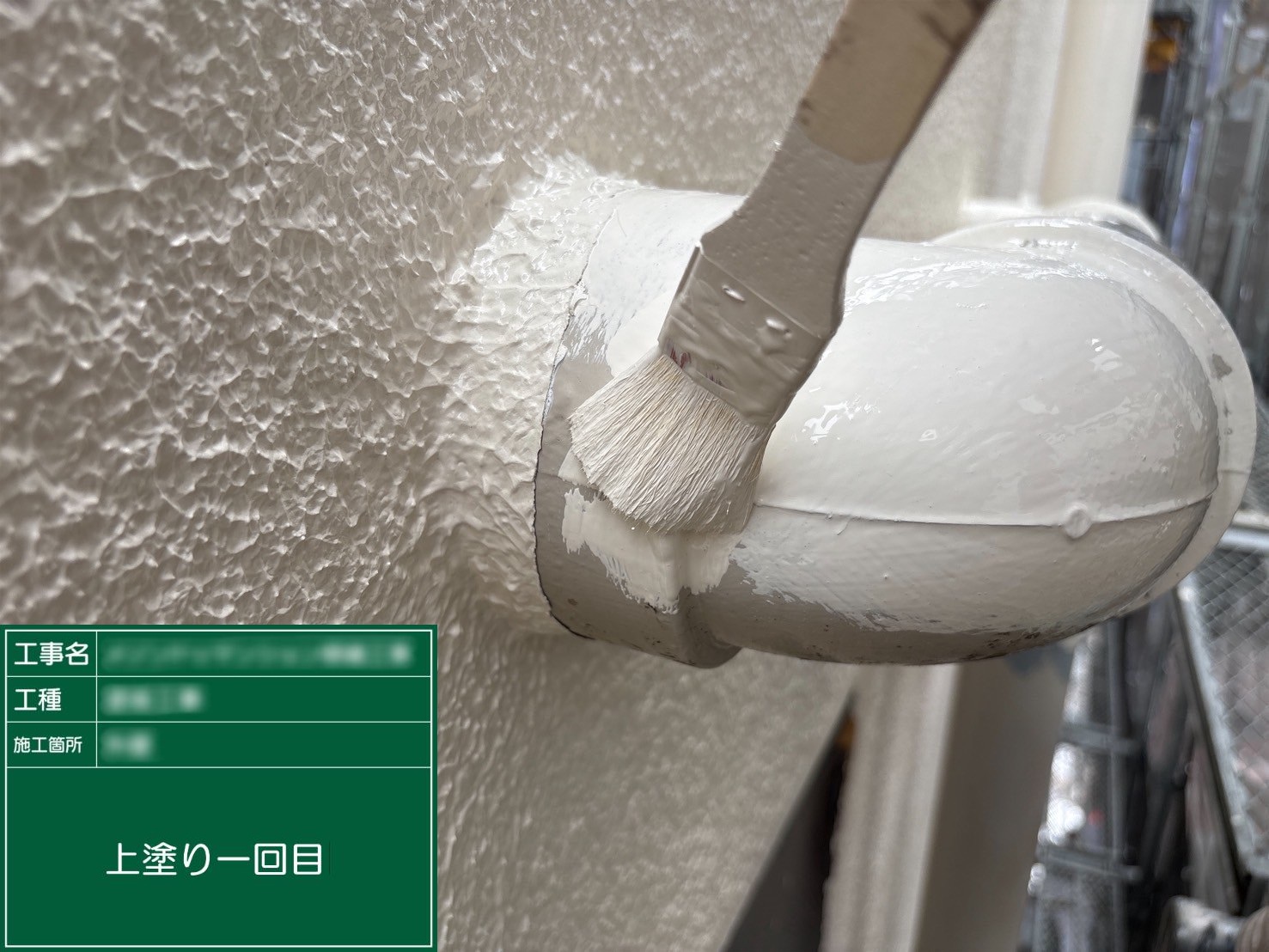 ④上塗り一回目