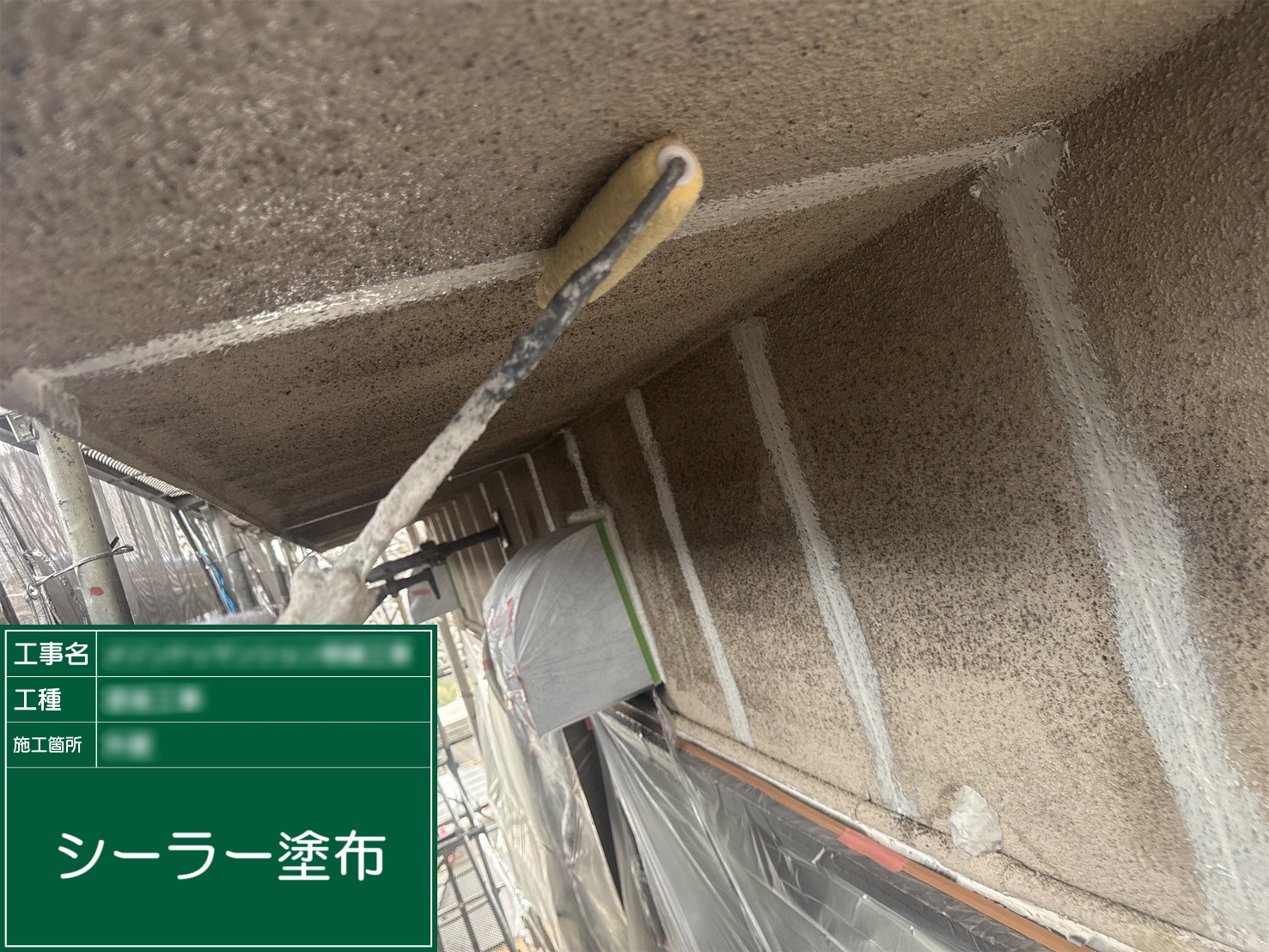 ②シーラー塗布