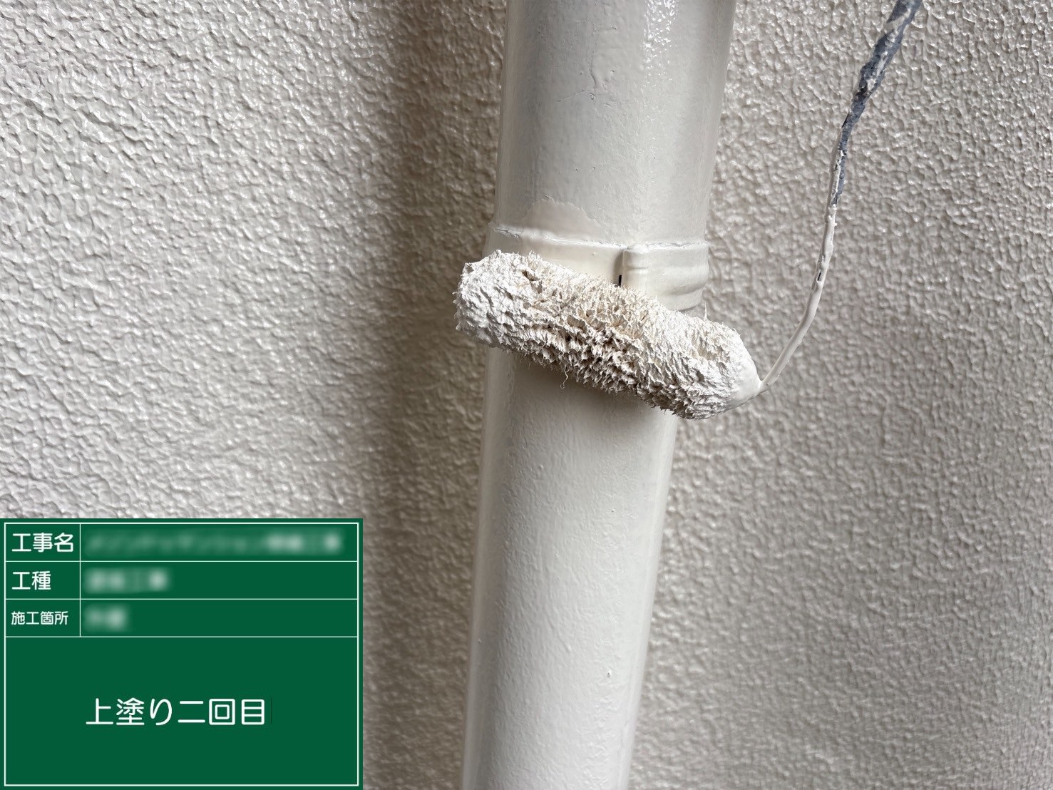 ⑤上塗り二回目