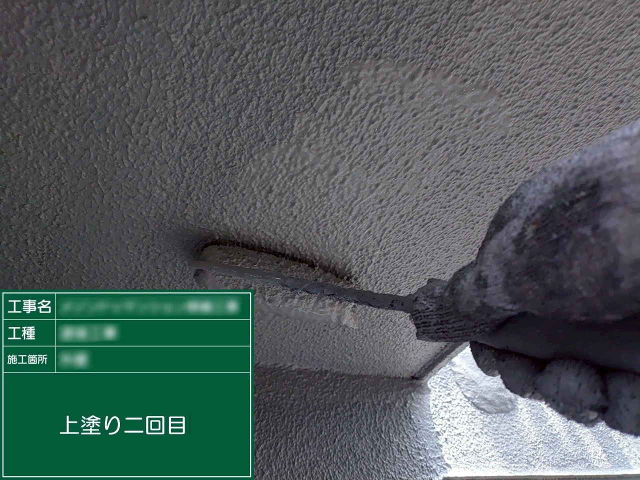 ⑤上塗り二回目