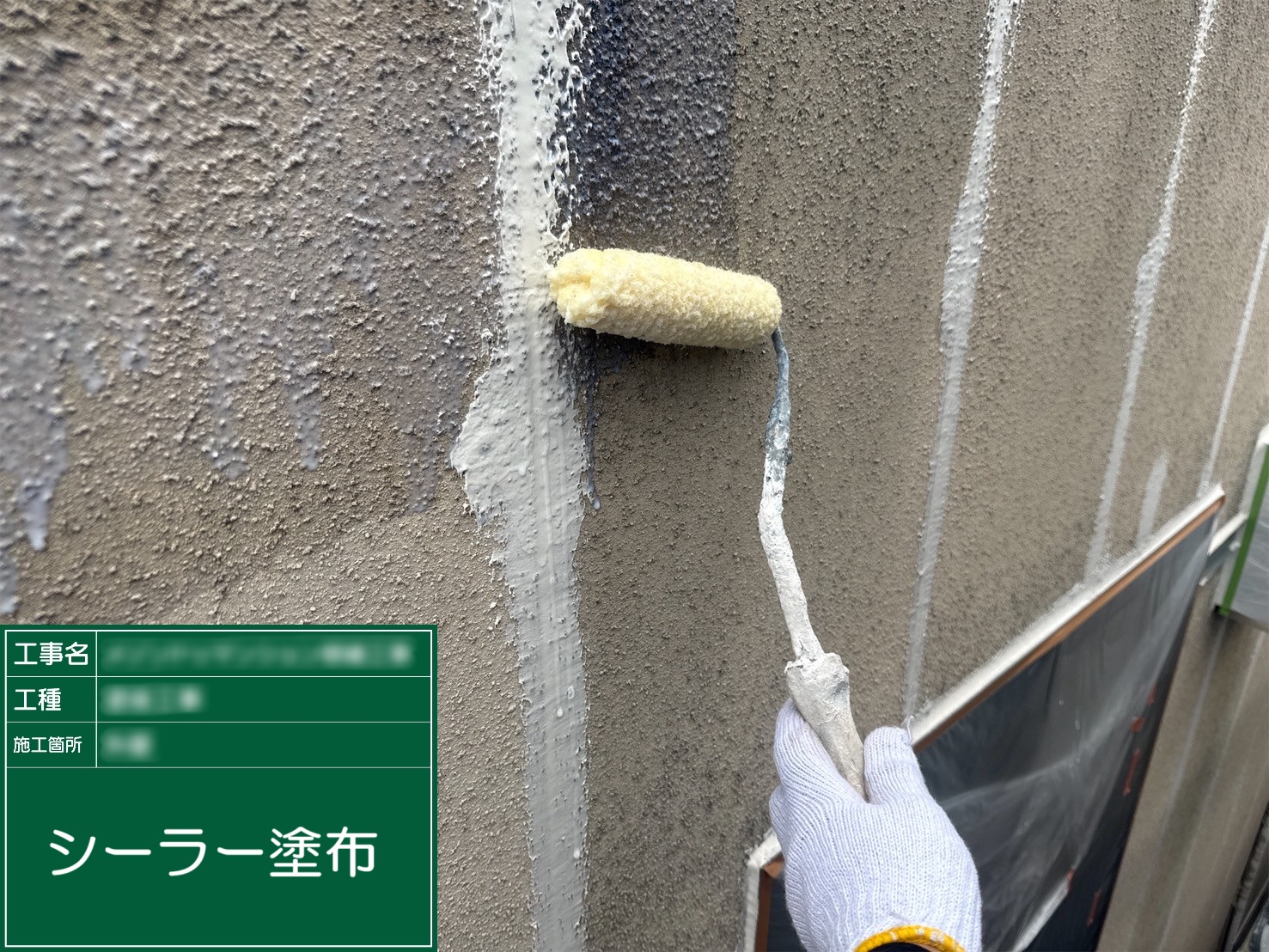 ②シーラー塗布