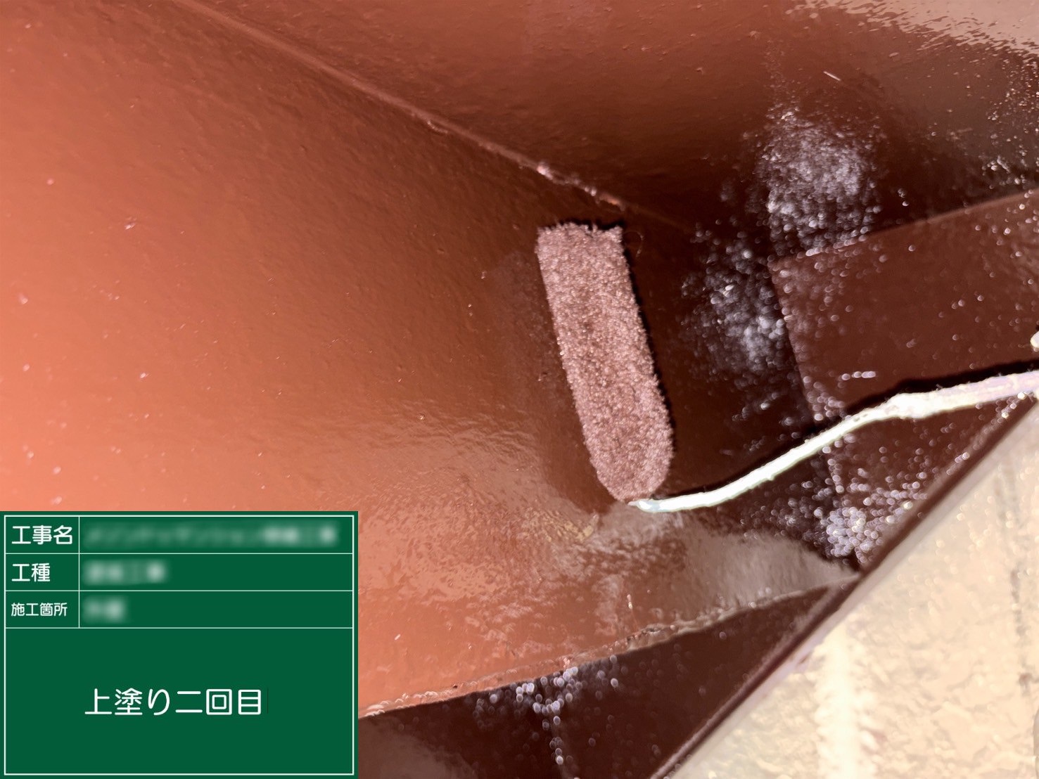 ⑥上塗り二回目