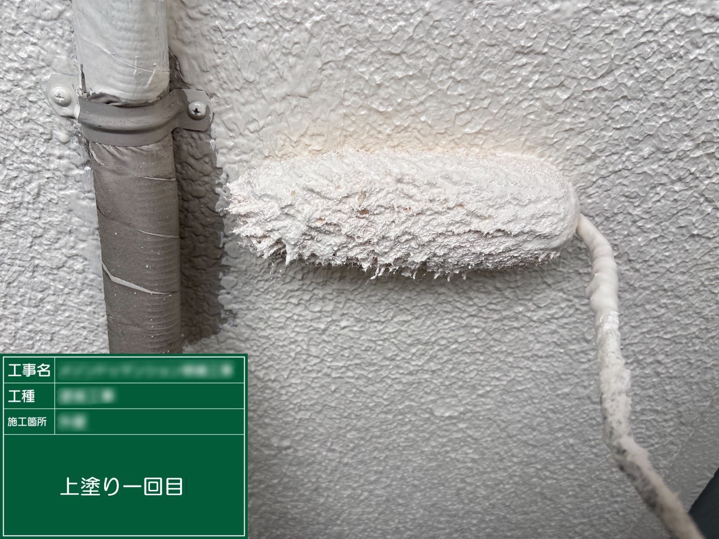 ③上塗り一回目