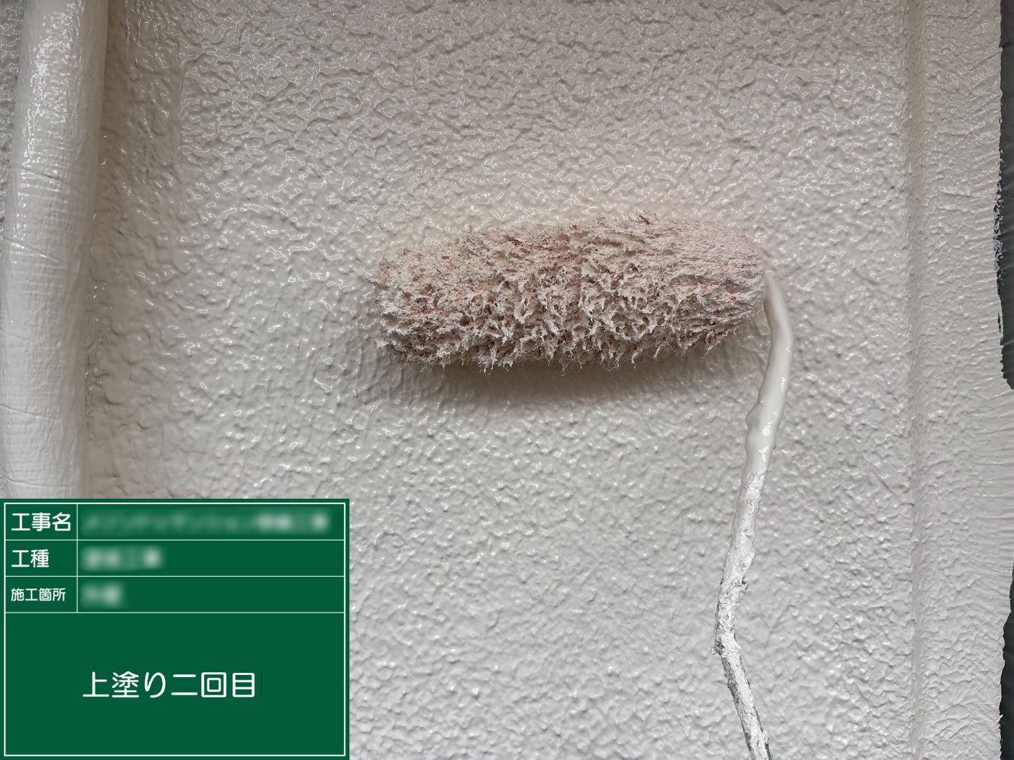 ④上塗り二回目