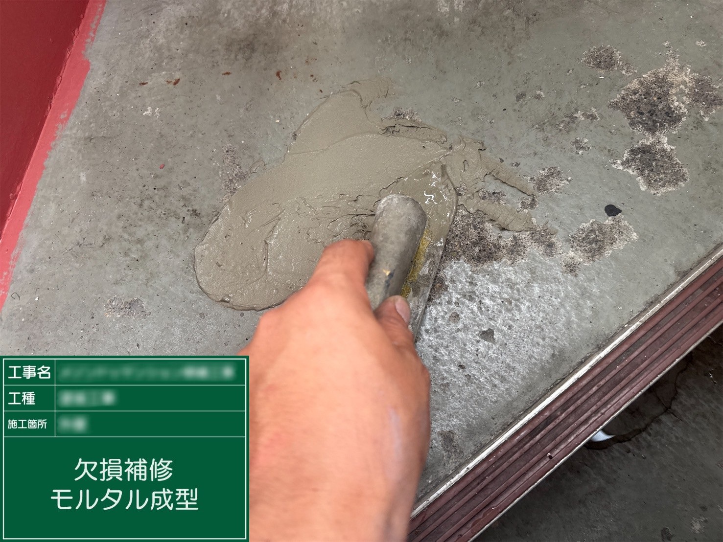 ④モルタル成型