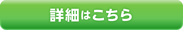 詳細を見る